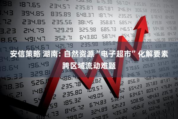 安信策略 湖南: 自然资源“电子超市”化解要素跨区域流动难题
