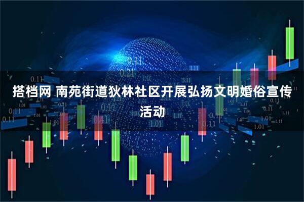 搭档网 南苑街道狄林社区开展弘扬文明婚俗宣传活动