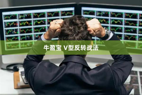 牛盈宝 V型反转战法