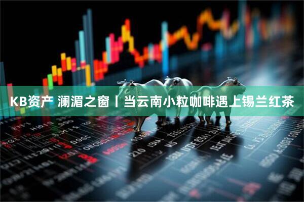 KB资产 澜湄之窗丨当云南小粒咖啡遇上锡兰红茶