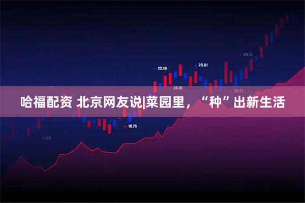 哈福配资 北京网友说|菜园里，“种”出新生活